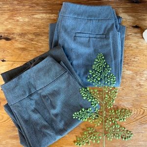 Two Pairs Dress Pants